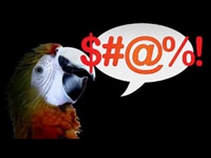 Why Do Parrots Mimic Humans?