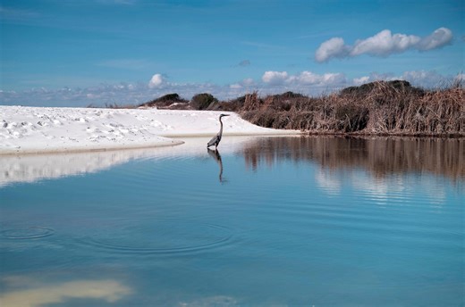 Why Gulf Islands National Seashore is a hidden Gulf Coast gem