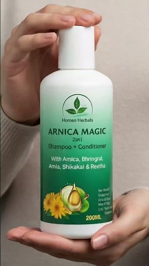 Zen Zest Takes on the World ✈️