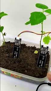 PENYIRAM TANAMAN OTOMATIS ARDUINO DENGAN SENSOR KELEMBABAN TANAH / SOIL MOISTURE SENSOR #arduino