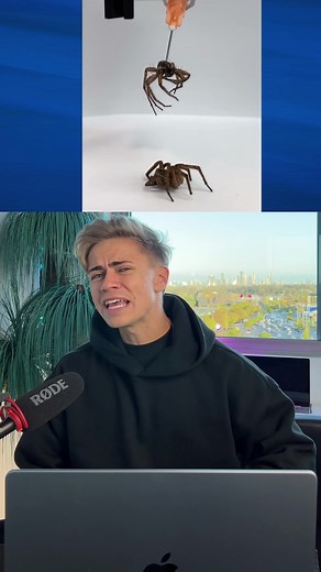 Dylan Page on TikTok