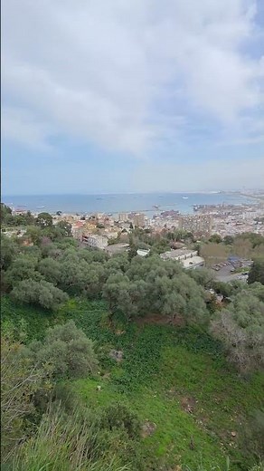 ​You Can See ALL of Algiers From Here! 🌆🌊