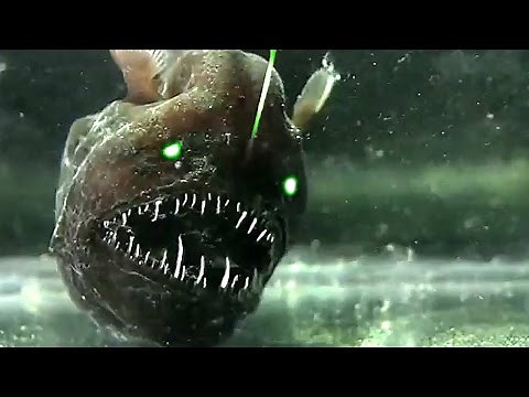 5 Mysterious Deep Sea Creatures Caught on Tape