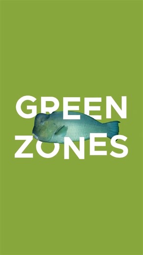 Let's talk green zones 💚 Zoning only works when we all work together. Whether we live near the Great Barrier Reef, elsewhere in Australia, or across the globe, we share a duty to protect this iconic natural wonder. Let's all do our part to safeguard its beauty and legacy. Download a zoning map from our website, or grab a copy from: 🎣 Your local bait and tackle shops 🚤 Boating suppliers ⚓ Marinas ℹ Visitor centres #LovetheReef #EyeontheReef | Great Barrier Reef Marine Park Authority