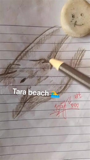 Hair Drawing Tutorial at Tara Beach
