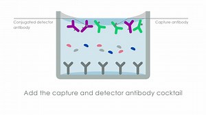 90min ELISA protocol with SimpleStep ELISA®