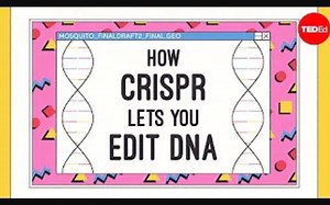 【Ted-ED】CRISPR如何编辑你的基因 How CRISPR Lets You Edit DNA
