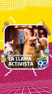 470K views · 295 reactions | ¿Cuál es tu corto favorito de “La Llama que llama”? El mio … son todos jajajaa Exitosa campaña publicitaria sin dudas #lallamaquellama #los90 #misaños90 #infancia90 #publicidades #argentina #argentina #buenosaires #tvargentina #tendencia | Mis Años 90 | Facebook