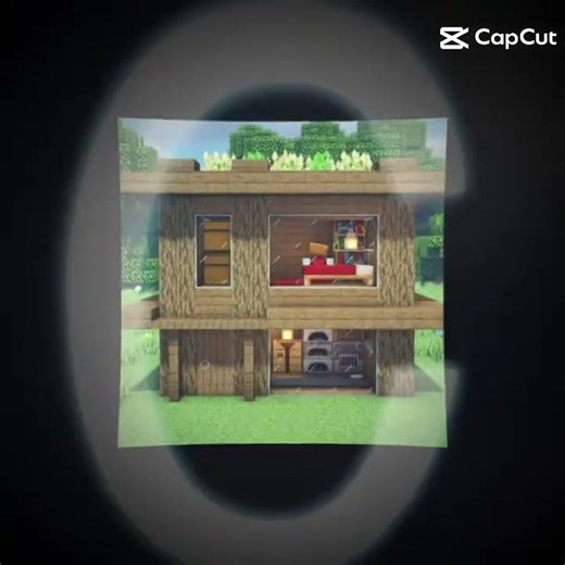 Poverty minecraft