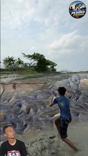 Dua Nelayan Sakti Panen Banyak Ikan Pakai Jala | Sekali Tebar Langsung Penuh Ikan!