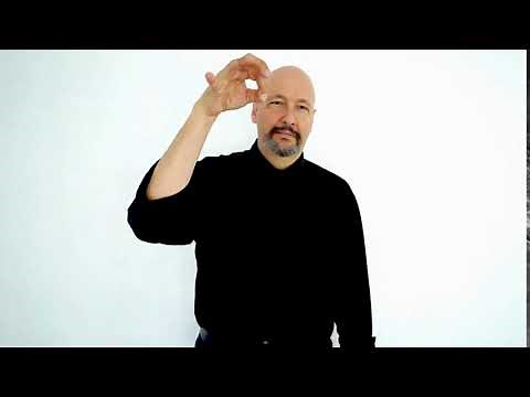 FLY-[a fly buzzing around] / flying around