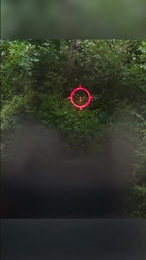 Eotech EXPS 3-2 Reticle