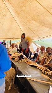 Wena ukhuluma kanjani? #INDUKU | Zulu Stick Fight - umgangela