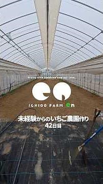 【育苗ハウス拡張①‼️】未経験からのいちご農園作り。42日目】兵庫県多可町でいちご農園始めます。#いちご農園 #いちご狩り #ICHIGOFARM en #いちごファーム エン
