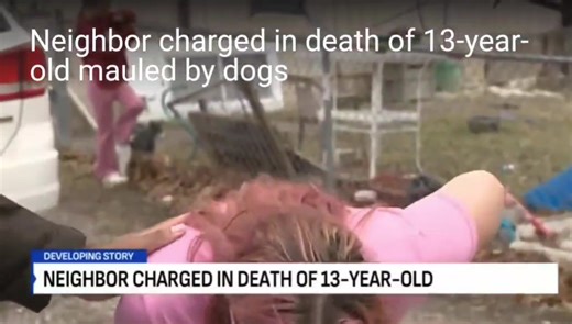 2.8K views · 70 reactions | A truly disturbing story. Link in comments to additional details, though it's obvious bully breeds (or mixes thereof) took this precious boy's life.  | Pitbull Attacks: Most Don't Make the News | Facebook