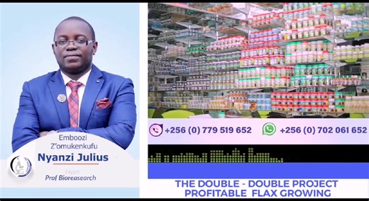 25 reactions · 5 comments | COMMERCIAL FLAX GROWING ** THE DOUBLE-DOUBLE PROJECT OF THE CURRENT RAINY SEASON ** NEVER MISS EMBOOZI Z'OMUKENKUFU EVERY TUESDAY AT 10:15 AM ON 87.9 Akaboozi fm. # THE PROF STORY # THE INDUSTRIAL REVOLUTION DOUBLE - DOUBLE PROJECT. | Prof Bioresearch | Facebook