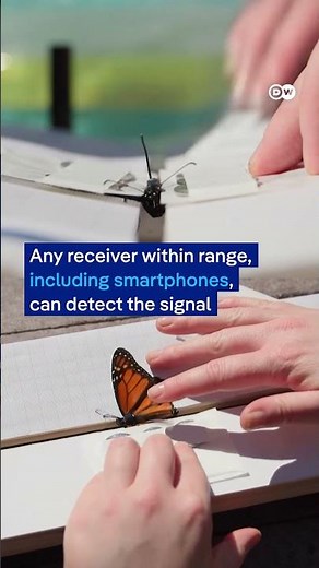 Butterfly GPS: Tracing monarchs’ cross-continent journey