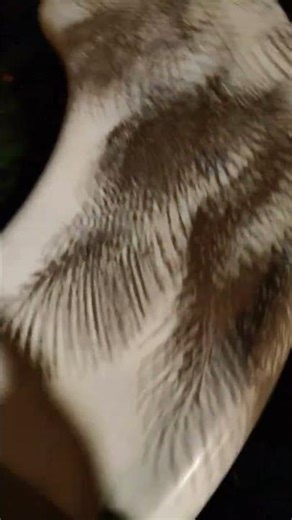 Smart Lamp Post and Smart Bench😯😇