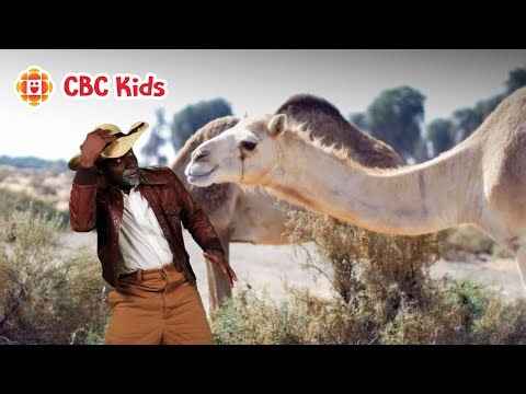 A Silly Exploration of the Great Pyramids of Giza | CBC Kids