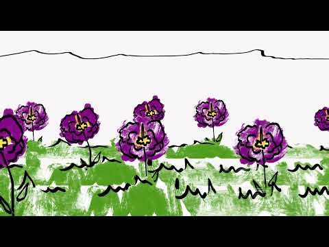 Animation final project