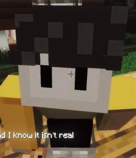 heyheyhey i havent posted in forever because i had no ideas also ive been sick sooo but im doing better now 😽😽 #dsmp #dsmpedit #minecraft #ghostbur #ghostburedit