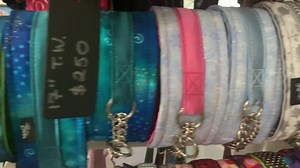 Ready to ship 14” Total Width check chain martingales Please watch...