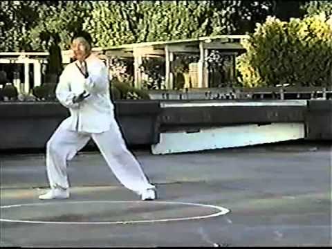 Fu Style Yang Palm BaGua
