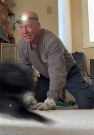 Chimney Rescue! This squirrel had quite the scare. After building a nest at the top of a chimney, the nest must have shifted and fallen all the way to the bottom with the squirrel inside it! Unlike raccoons, squirrels can’t climb straight up the smooth inside walls of a chimney, which meant this little guy was completely stuck. Watch as Brad and Spencer carefully rescue the squirrel from the bottom of the chimney, giving him a safe way out. And in true squirrel fashion… his first move is to run 