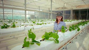 Sahara Forest Project: From vision to reality