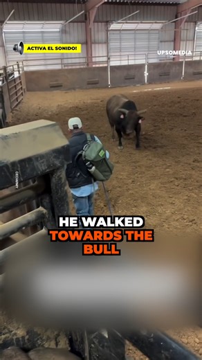 2M views · 25K reactions | He stood in front of him and showed him who he was, completely taming the bull. Incredible! This man lived to tell the tale | The Kiwi | Facebook