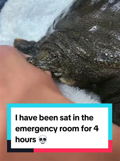 Long Wait Times in the Emergency Room Experience