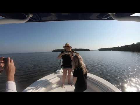 Snook Fishing Tampa Bay