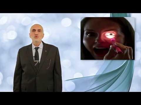 Elbromboly Basic ophthalmology IC Retina Central retinal artery occlusion