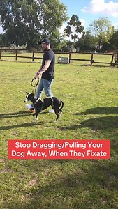 138K views · 3.1K reactions | Stop dragging #dogs | Adam Spivey | Facebook
