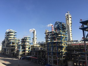 [Hot Item] Advanced Fly Ash Removal System for Green Energy Production