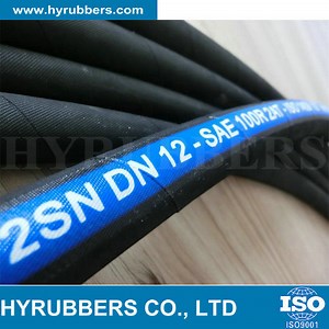 [Hot Item] SAE 100 R2at/ DIN En 853 2sn Standard