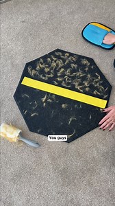 Think your vacuum’s getting all the pet hair? It’s not. Loose fur...