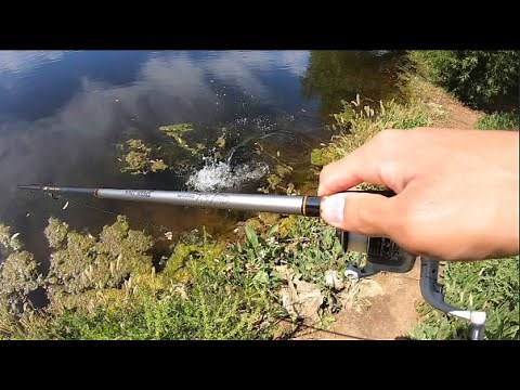 How to Catch Bass With NIGHTCRAWLERS! (Live Bait Tutorial)