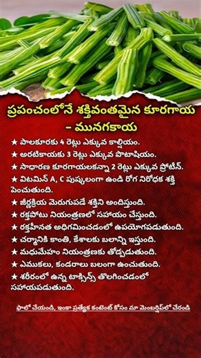 Moringa Benefits You Must Know | Powerful Health Benefits of Drumstick Leaves