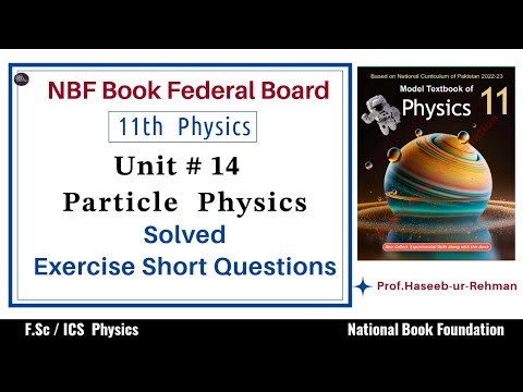 Particle Physics Class 11 | Solved Exercise Short Questions | Chapter 14 FBISE