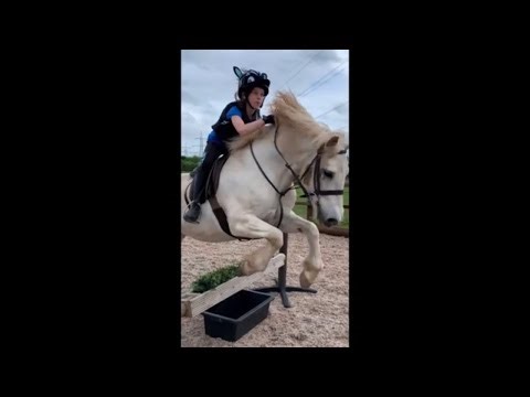 Jumping Compilation – High Energy Performance & Highlights”