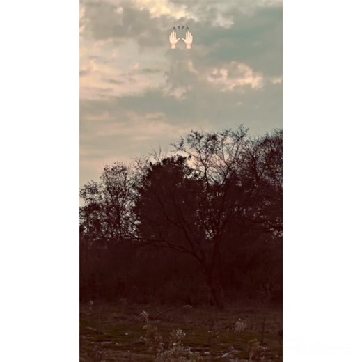 Grow Your Account with Engaging Content Strategies