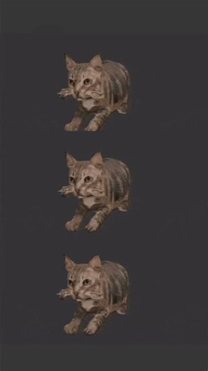 Oiia oiia cat minecraft