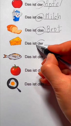 🇩🇪 Easy German For All Beginners 🇩🇪 #deutschlernen #lernendeutsch #deutschland🇩🇪 #lernen | Learn German 101