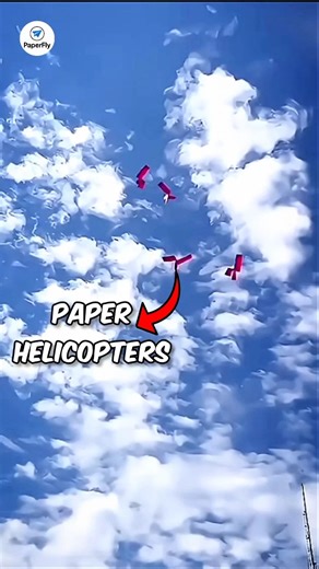 Why this paper helicopter flies so well