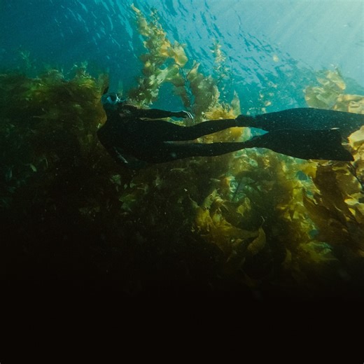 Dive & Snorkel Cameras | Best GoPros for Diving & Snorkeling