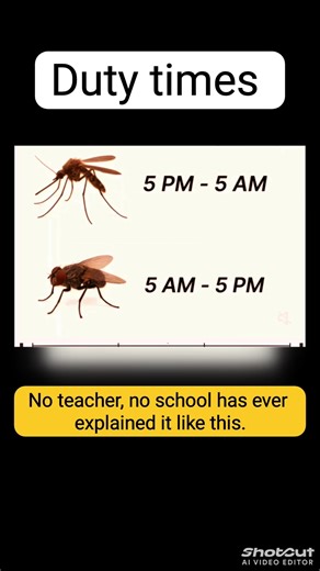 Part-833 | 100% IQ level use | science experiment #youtubeshorts #education