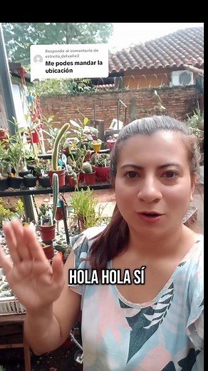 69 reactions · 29 shares | Cristina Alvarenga Vivero Tina on Reels | Facebook