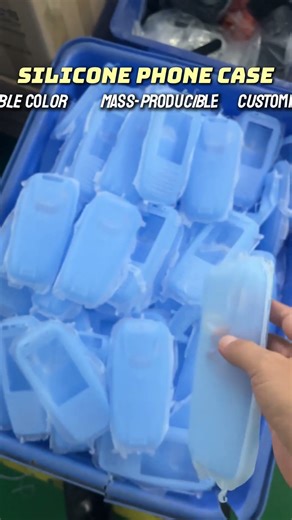 Will This Silicone Protective Case SURVIVE?