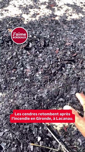 À Lacanau, les cendres retombent après l’incendie en Gironde 🔥